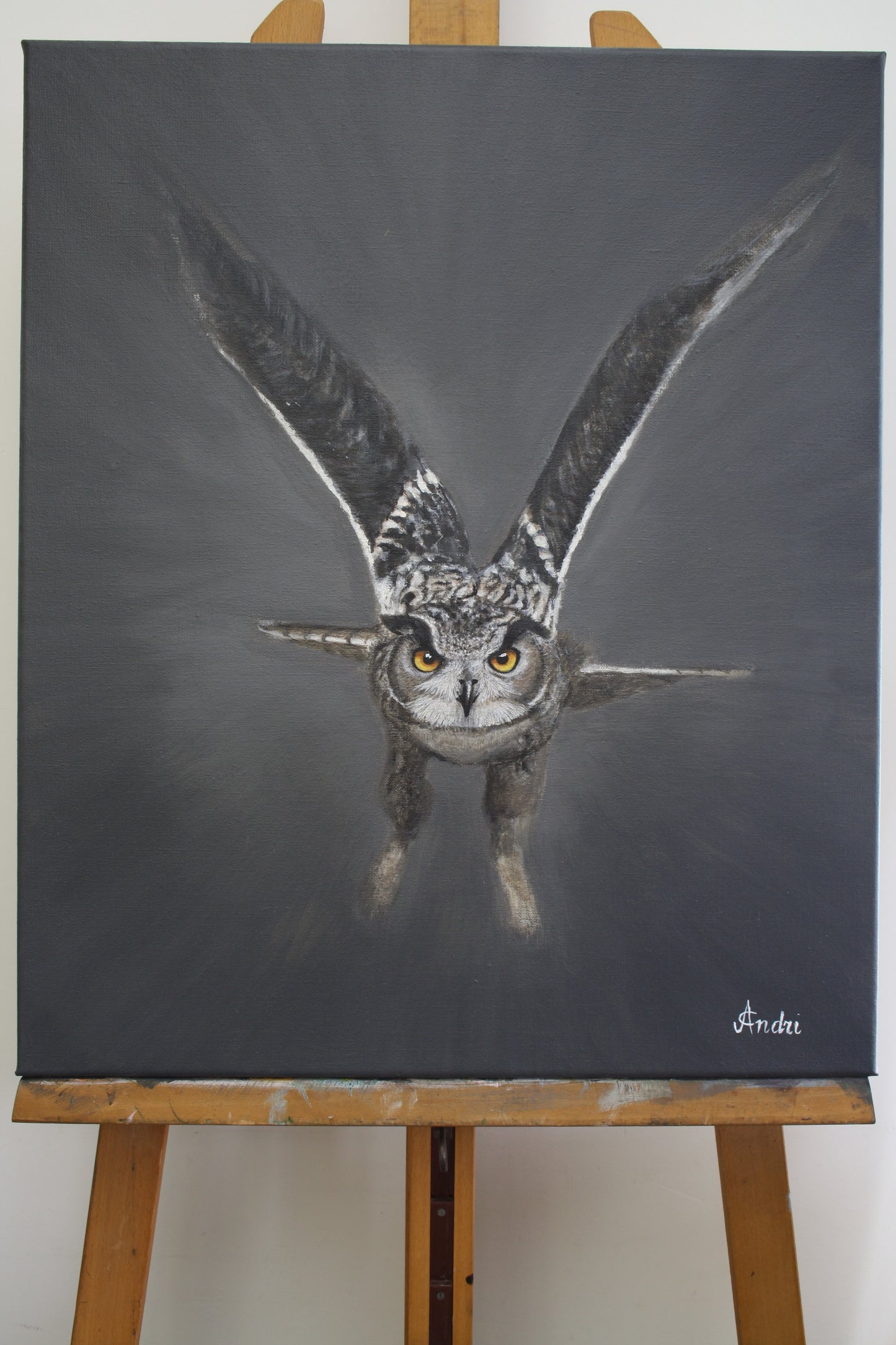 OWL FLIGHT | 50X60CM | CANVAS