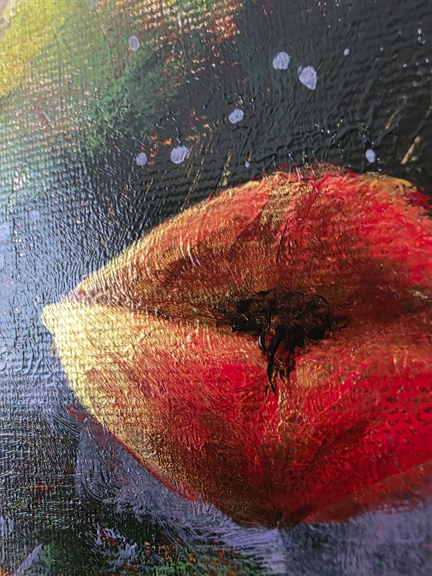 CELESTIAL POPPIES | 30X40CM | FRAMED CANVAS
